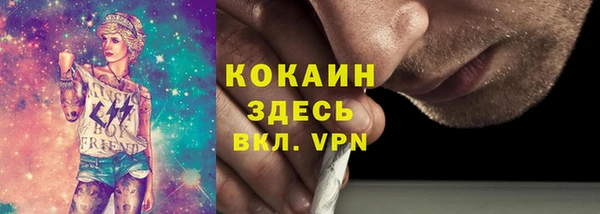 сатива Богородск