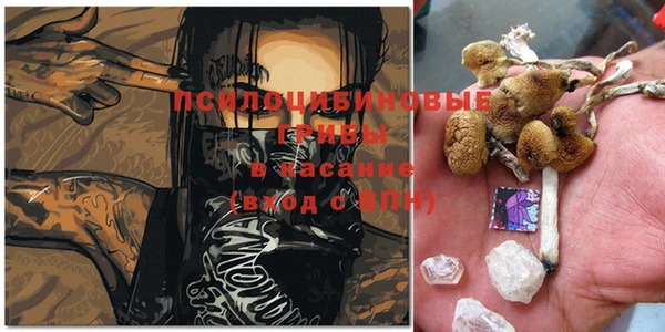 крисы Богданович