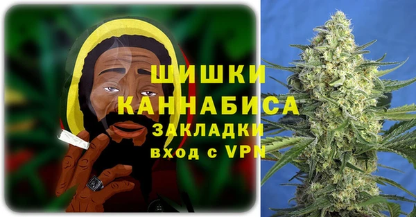 сатива Богородск