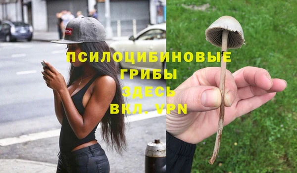 альфа пвп Богородицк