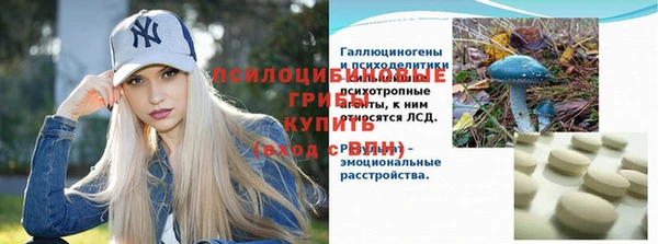 крисы Богданович